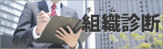 組織(チーム)診断
